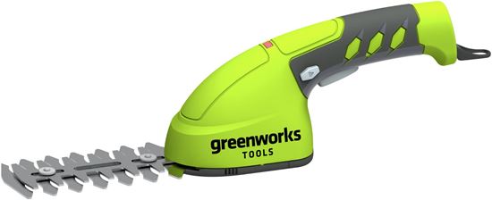 Greenworks 1600107